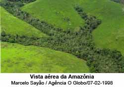 Vista area da Amaznia - Foto: Marcelo Sayo / Agncia O Globo/07-02-1998