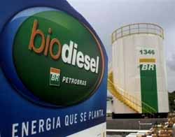 Biodiesel - Foto: Sindipetro