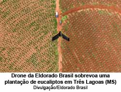 Drone da Eldorado Brasil sobrevoa uma plantao de eucaliptos em Trs Lagoas (MS) - Divulgao/Eldorado Brasil