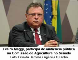 O ministro da Agricultura, Blairo Maggi, participa de audiência pública na Comissão de Agricultura no Senado - Foto: Givaldo Barbosa / Agência O Globo
