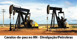 Cavalos-de-pau, no RN - Foto: Divulgao / Petrobras